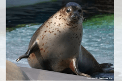 『旭山動物園』カワイイ動物たちが出迎えてくれます