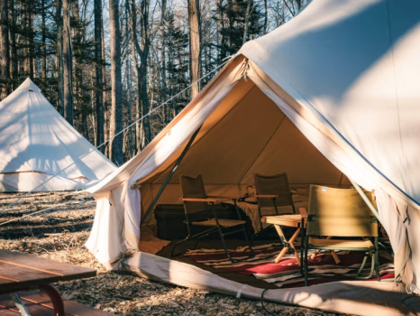 【グランピング/外観】木が風に揺れる音や青い空を見上げる、五感を満たす旅をお楽しみください