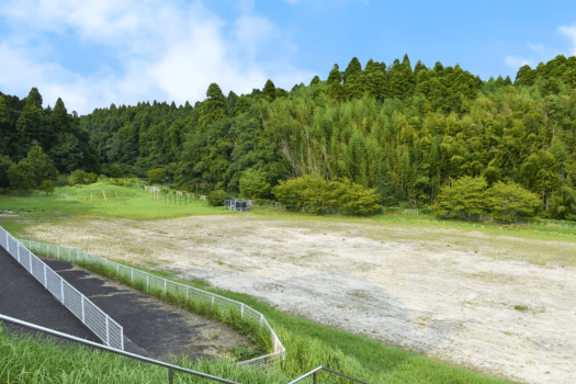 🏫素泊まりプラン🏫学校をリノベーションした宿泊施設！【校舎貸切プラン】