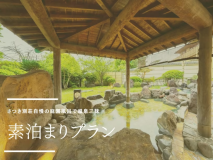 【素泊まり】さつき別荘自慢の庭園風呂で温泉三昧