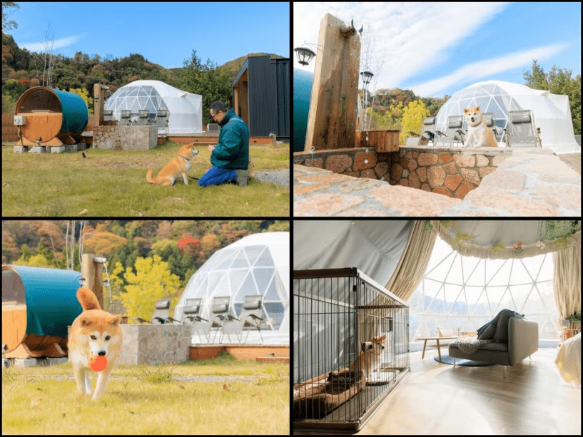 2月限定特別価格◆冬の森でペットと贅沢グランピング◆選べる夕食と朝食付き！