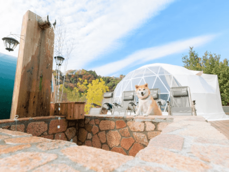 星グランピング◆特別な日にフレンチディナーを...☆彡サウナと温泉を楽しむご褒美旅◆1泊2食付き！