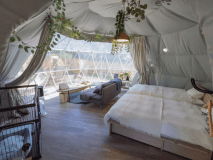 【ペットと泊まれる】◆シリウスーSiriusー◆星グランピング【禁煙】