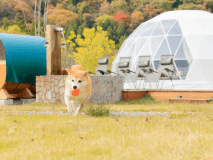 【お得な２食付き】ペットと一緒に泊まれる！！グランピングとサウナで最高のひと時を！