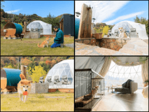 2月限定特別価格◆冬の森でペットと贅沢グランピング◆選べる夕食と朝食付き！