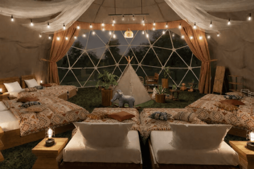 サプライズガーデンドーム《8ベッド》