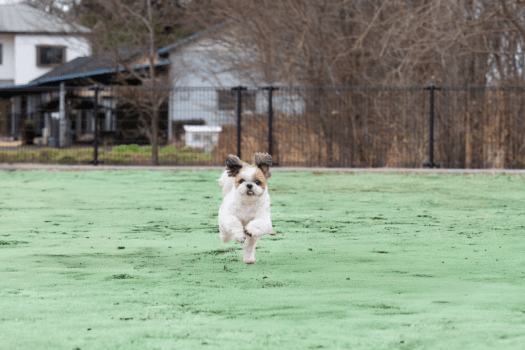 【愛犬同伴可能】フォレストテラスヴィラ《4ベッド》