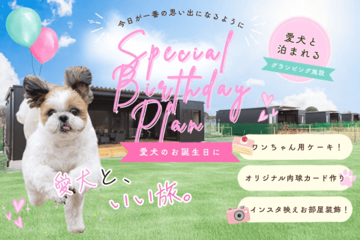 ■愛犬の誕生日を特別に祝う★3大特典付（ケーキ・飾り・バースデーカード）｜添い寝OK自由な素泊まりプラン