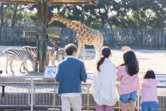 プライベートガーデンドーム《4ベッド》