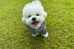 【素泊り】手軽に気軽に！持ち込み自由でオリジナルのグランピングを楽しむ滞在