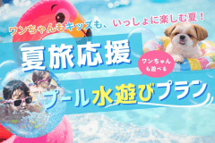 《プール開き✨■専用プール水遊びプラン■》 子供も愛犬も大はしゃぎ♪プール＆ドッグランで遊び放題！ 家族みんなで特別な休日を｜自由な素泊まりプラン