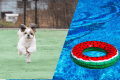 【愛犬同伴可能】プール付_フォレストテラスヴィラ《4ベッド》