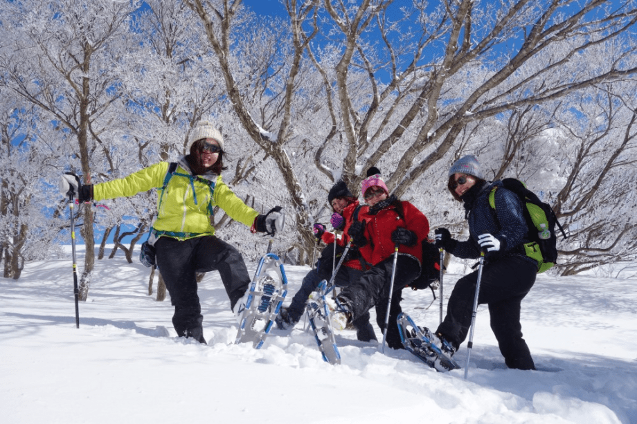 新雪歩く気持ちよさは格別！動物の足跡も発見できるかも・・・
