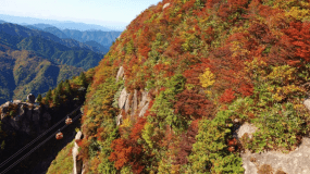 紅葉は10月中旬ごろから山頂付近から始まります。
