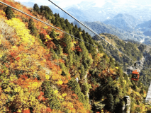 御在所岳中腹の紅葉のイメージ。ゴンドラから紅葉狩り！