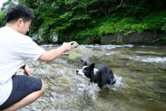 【ペット2頭まで同料金】わんちゃんと泊まれる別館オープン！（素泊まり）