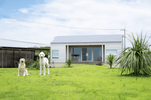 「みなも」平屋の一棟タイプ