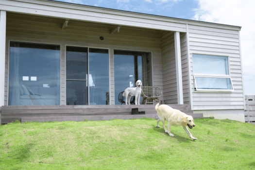 「みなも」平屋の一棟タイプ