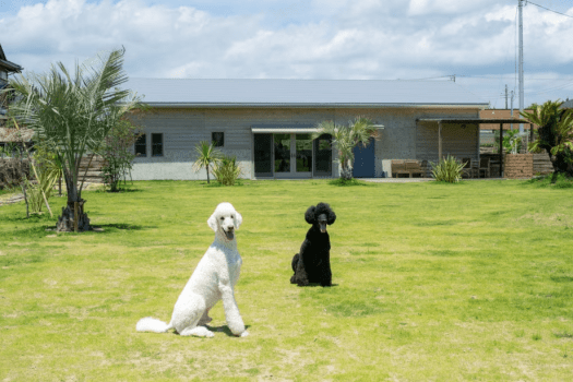 「ほし」平屋の一棟タイプ