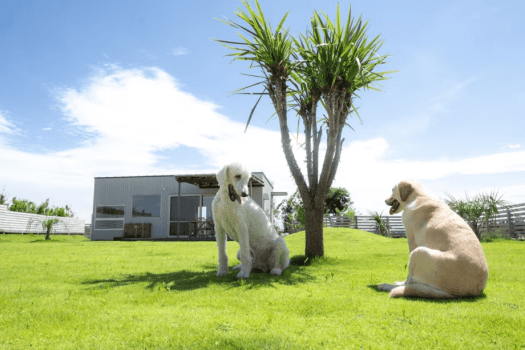 「なぎ」平屋の一棟タイプ