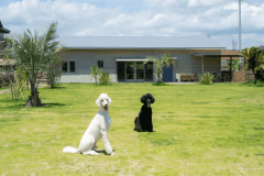 「ほし」平屋の一棟タイプ