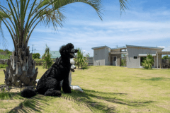 「かぜ」平屋の二棟タイプ