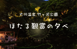 【 水面に揺れる蛍火 】竹ヶ沢公園ほたる鑑賞の夕べ♪無料送迎付プラン
