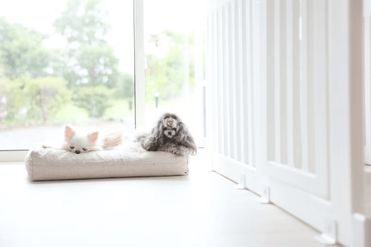 ■連泊割り■＜2泊目”50％OFF”＞冬の贅沢❄️連泊で叶える癒しの滞在～2月28日までの期間限定の～＜素泊りプラン＞