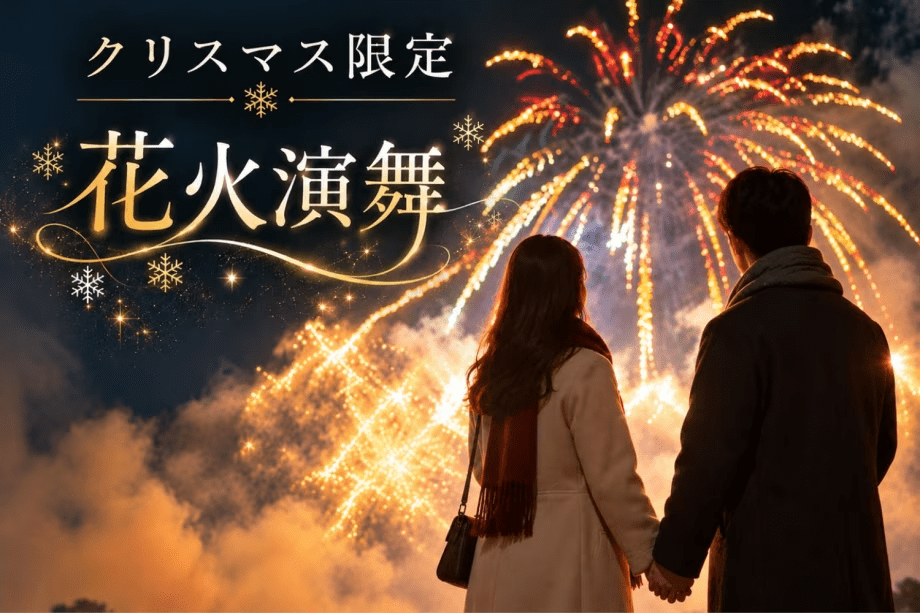 冬の夜空と海を彩るクリスマス花火演舞。ふたりだけの特別な思い出に。