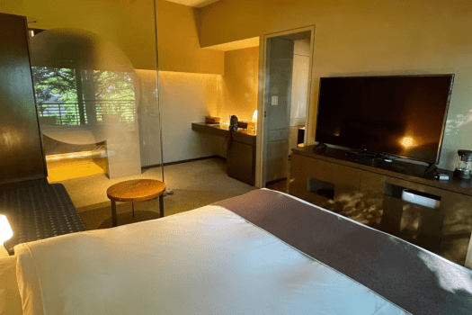 【ダブルルーム（102号室）】自然に馴染みやすいアースカラーのお部屋はシンプルな造りです。