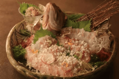 【ソイのお造り】艶のある身に、すりおろした「山わさび」がまるで雪のように映えます。