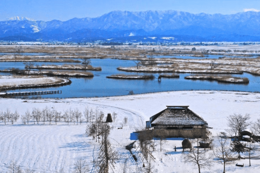 【福島潟】お車で約15分。冬は雪に覆われた景色や、白鳥など多くの渡り鳥を観察することができます。