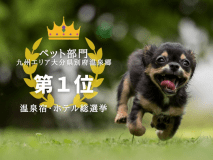 2021温泉総選挙、ペット部門でエリア1位！応援ありがとうございました！全国でも8位入賞！