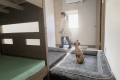 ペットプレンドリールーム《ひだまり》：愛犬がちょこんと座る穏やかな客室《ひだまり》。ツインベッドでゆったり、家族連れには2段ベッドも備えた安心の空間です。