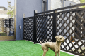 ペットプレンドリールーム《ひだまり》：やわらかな光に包まれた《ひだまり》。愛犬と一緒に過ごせるウッドデッキで、心ほどけるひとときを。