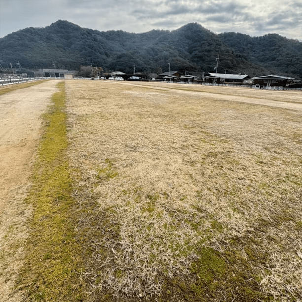 キャンプ　Ｆサイト　電源なし