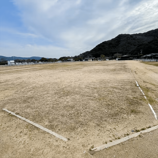 キャンプ　Eサイト　電源なし