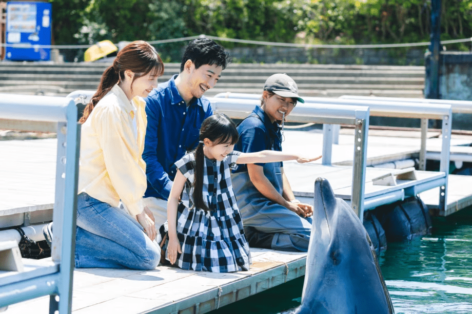 じゃのひれ王道プラン　イルカ・真鯛釣り・BBQ・コテージ泊を遊び尽くす