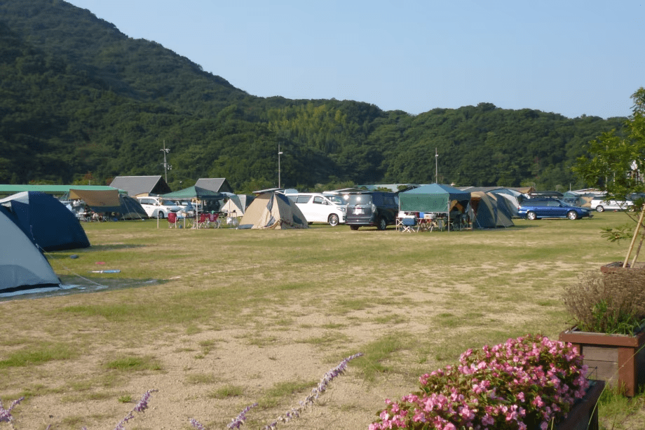 【７月９日泊までの予約】キャンプ　Ｄサイト　電源あり