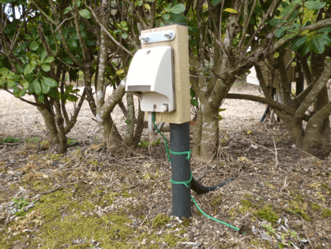 キャンプサイト　電源