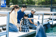 じゃのひれ王道プラン　イルカ・真鯛釣り・BBQ・コテージ泊を遊び尽くす