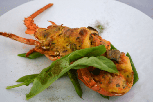 至福のひと時・スペシャルプラン