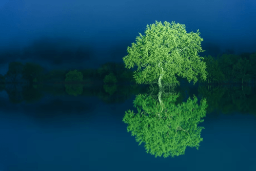 1泊2食付き肉料理アップグレードプラン