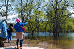 白川湖畔キャンプ場【水没林ビューサイト】