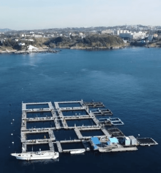 《The Miura Experience　三浦を楽しむ・体験する　宿泊プラン》三崎の食文化体験「魚市場食堂の朝食・寿司握り体験」/ 釣り堀「みうら海王」フィッシング / 予約代行付