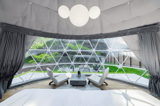 翠遊-Suīyu-〈愛犬同伴可〉