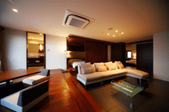 天使の梯子・typeA 