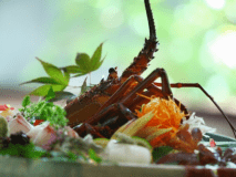 伊勢海老のお造り