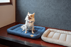 【別邸葵町】AOI202〈定員3名〉