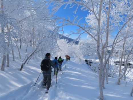 【プライベートツアー】★標高1300mの樹氷や奇岩を見ながらスノーシューで雪原散歩♪【夕朝食温泉付】